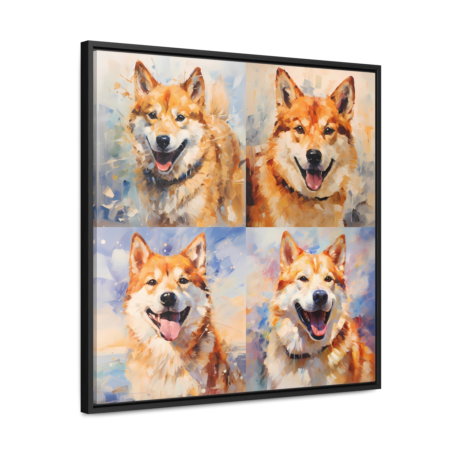 Shiba Sunshine