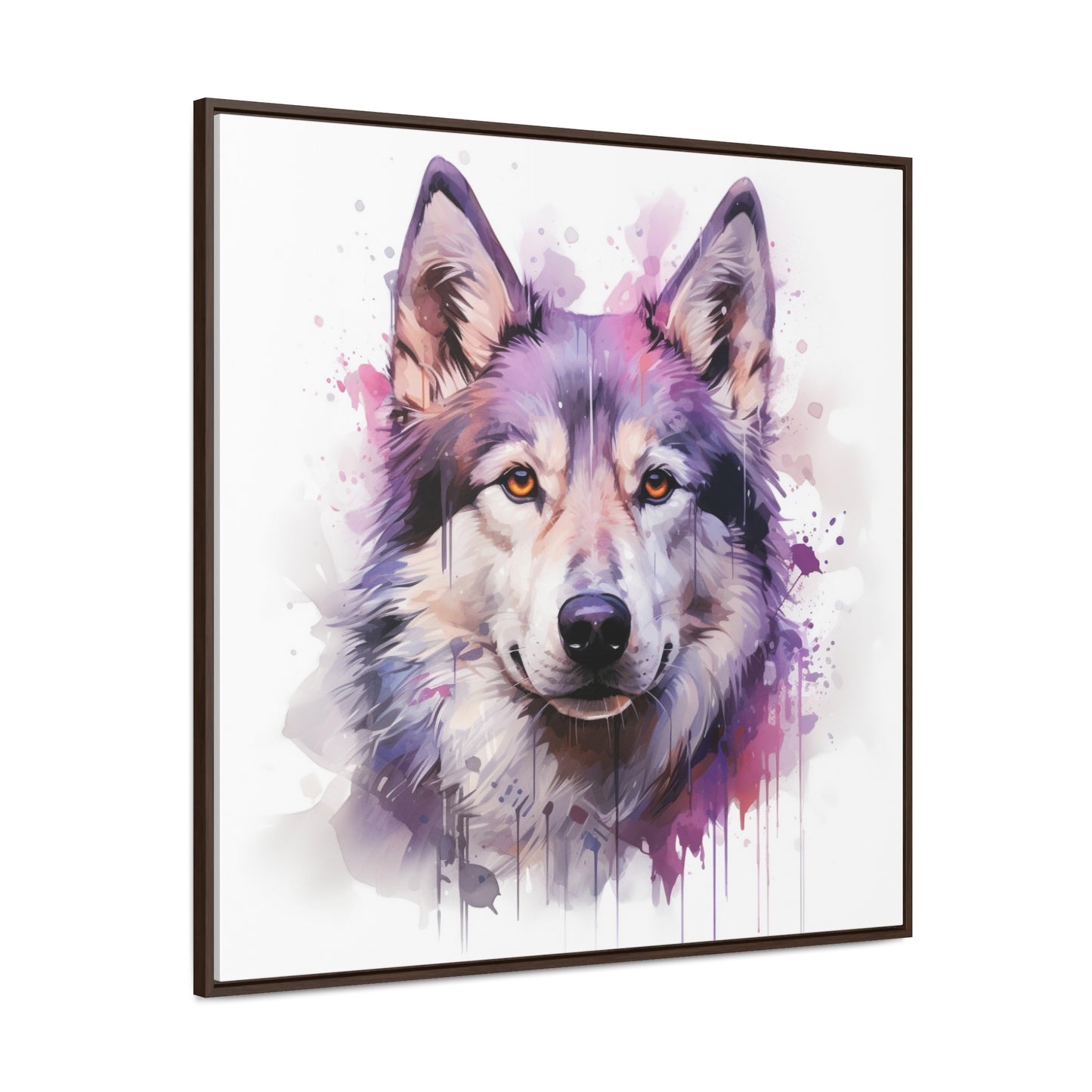 Cascade Canine