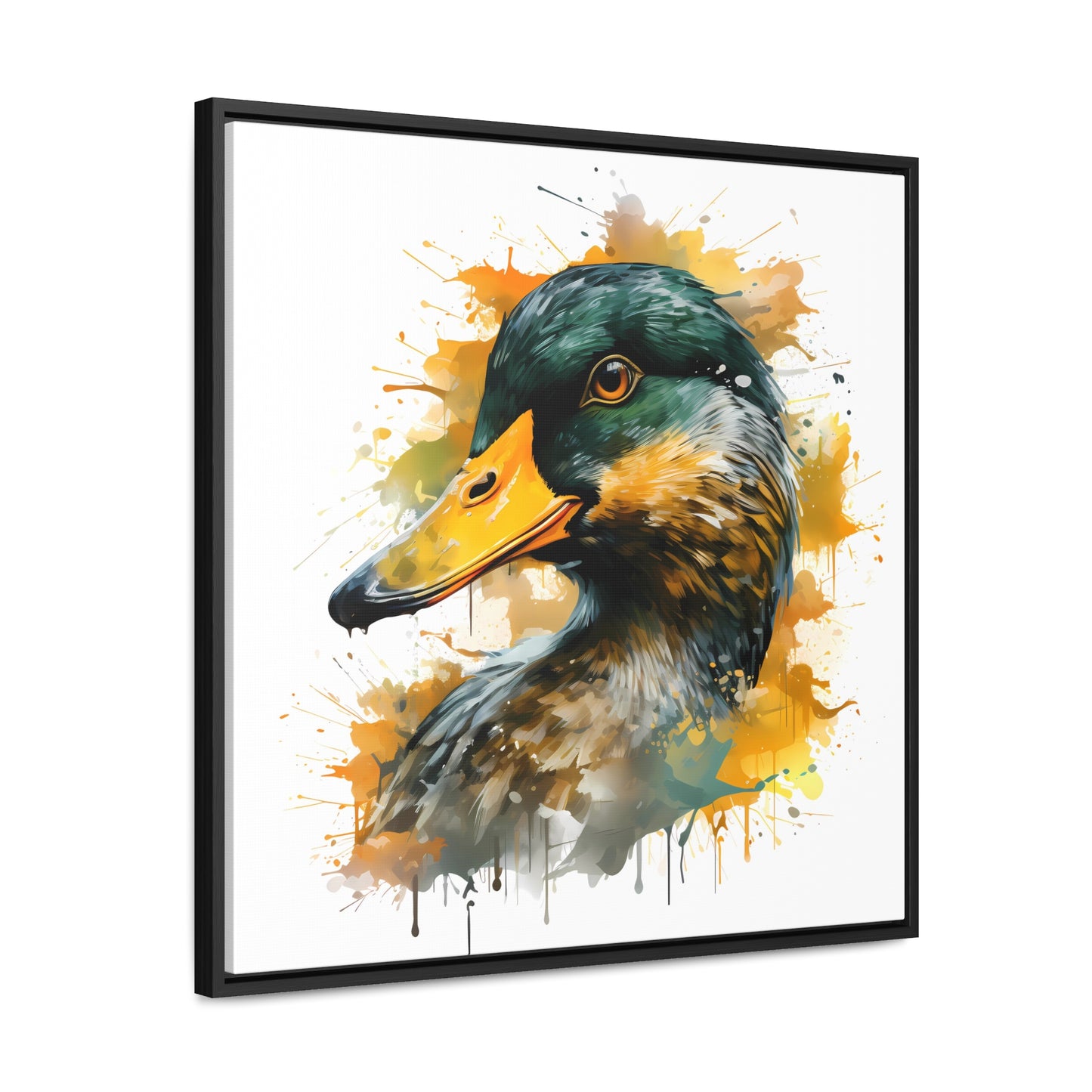 Quack Splash