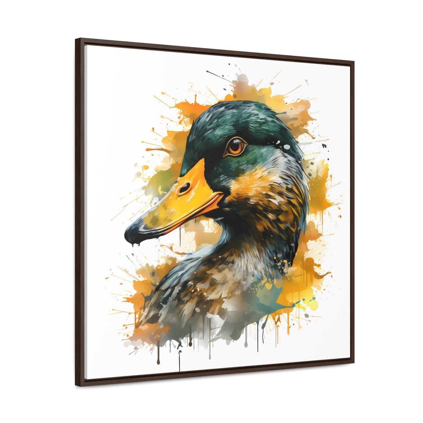 Quack Splash