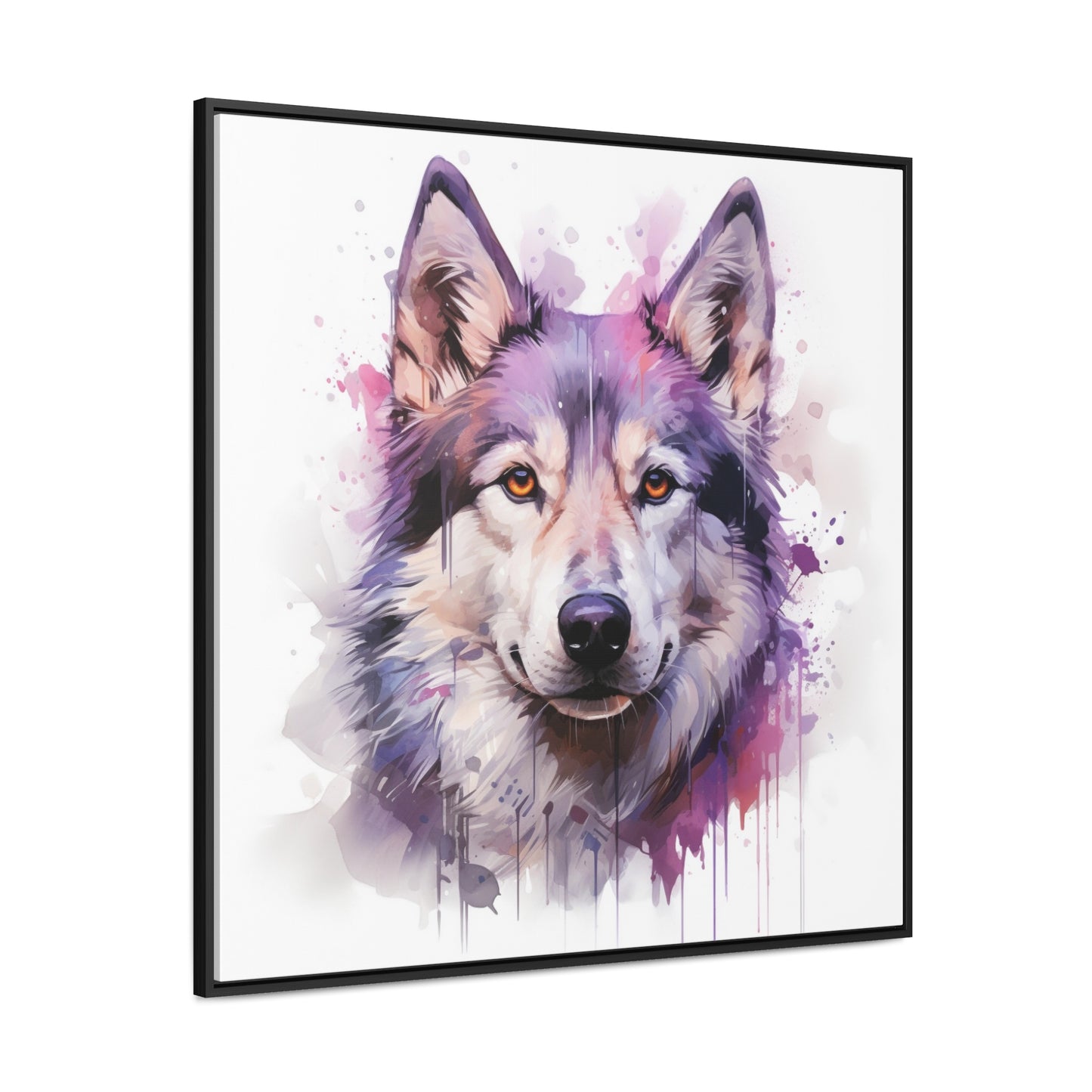 Cascade Canine