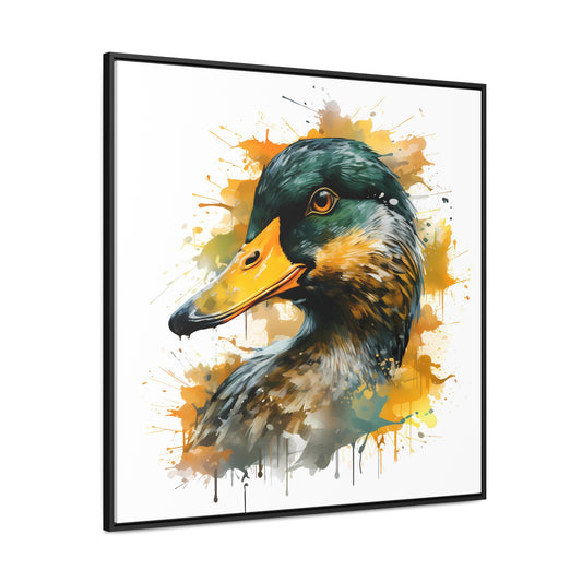 Quack Splash