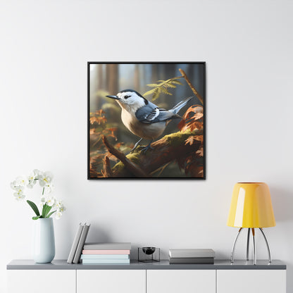 White-breasted Nuthatch