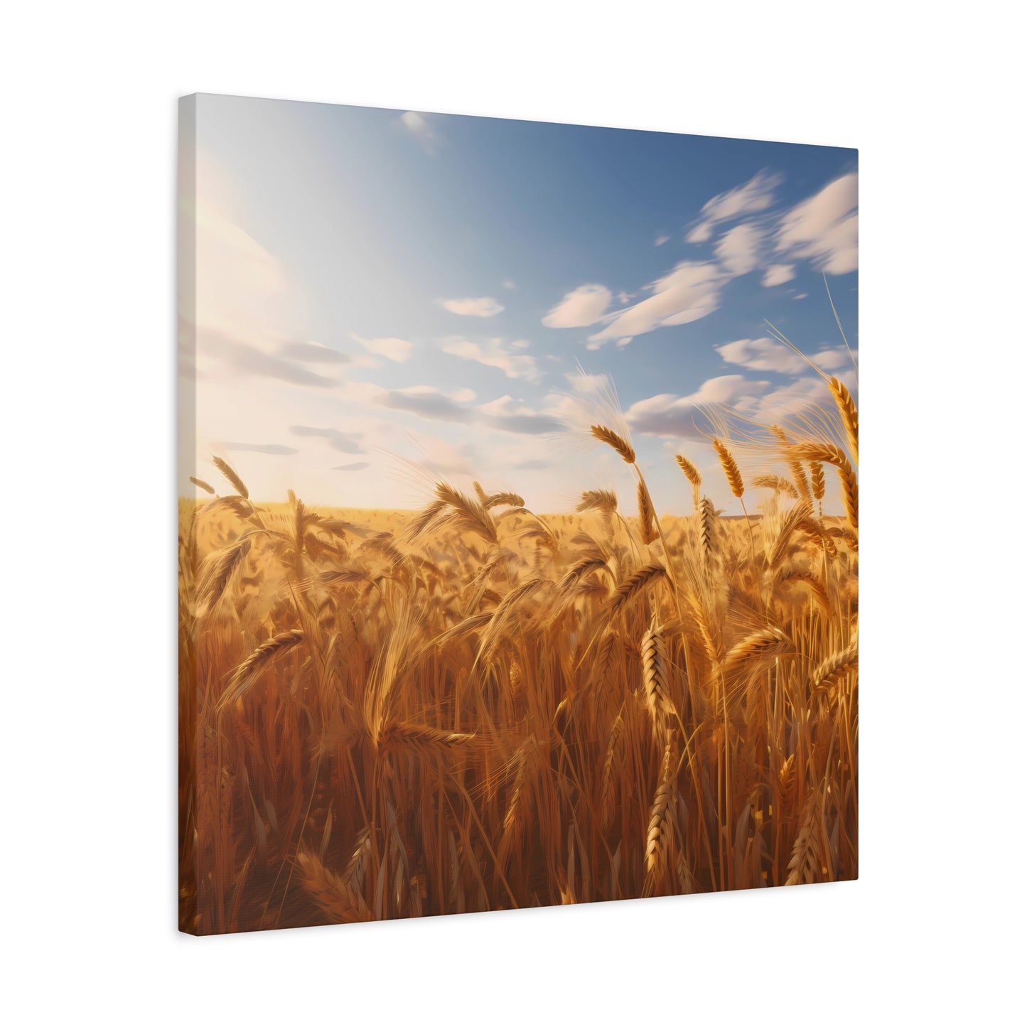 Sunlit Wheat