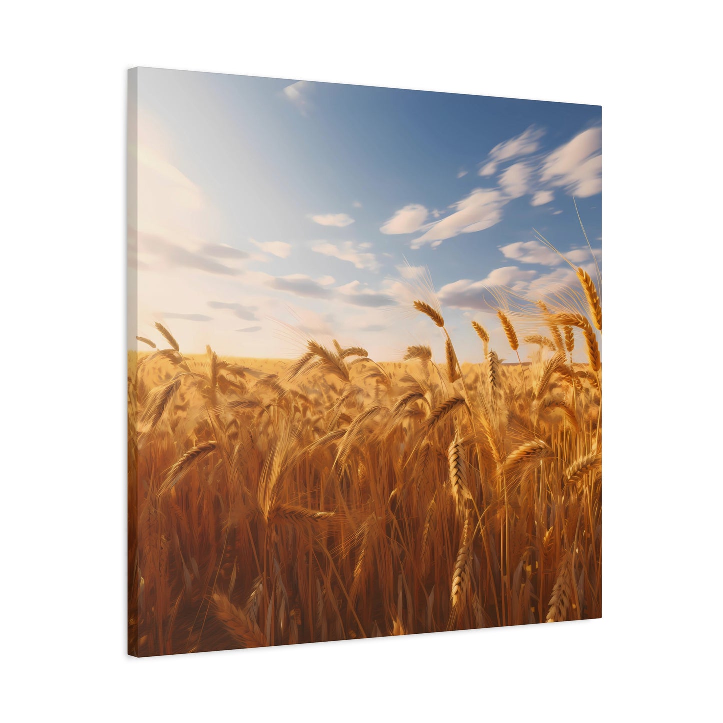 Sunlit Wheat