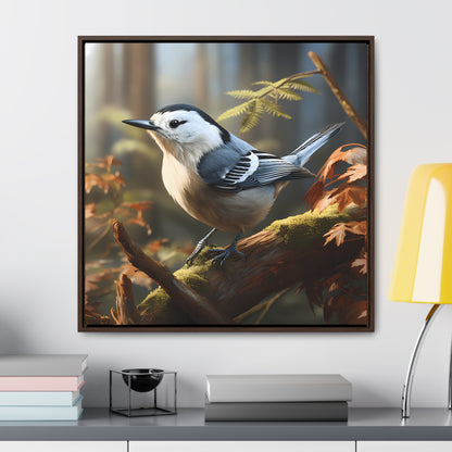 White-breasted Nuthatch