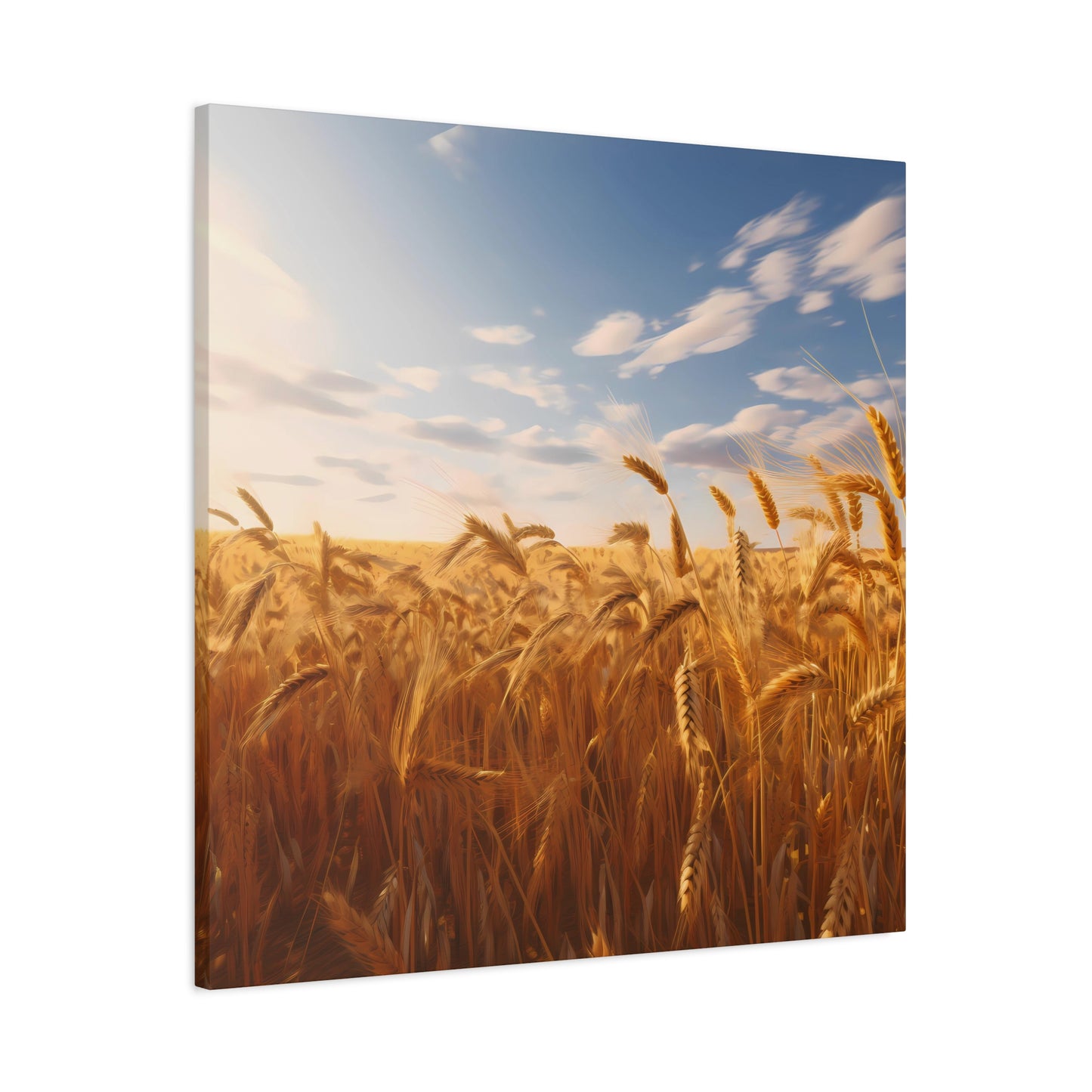 Sunlit Wheat