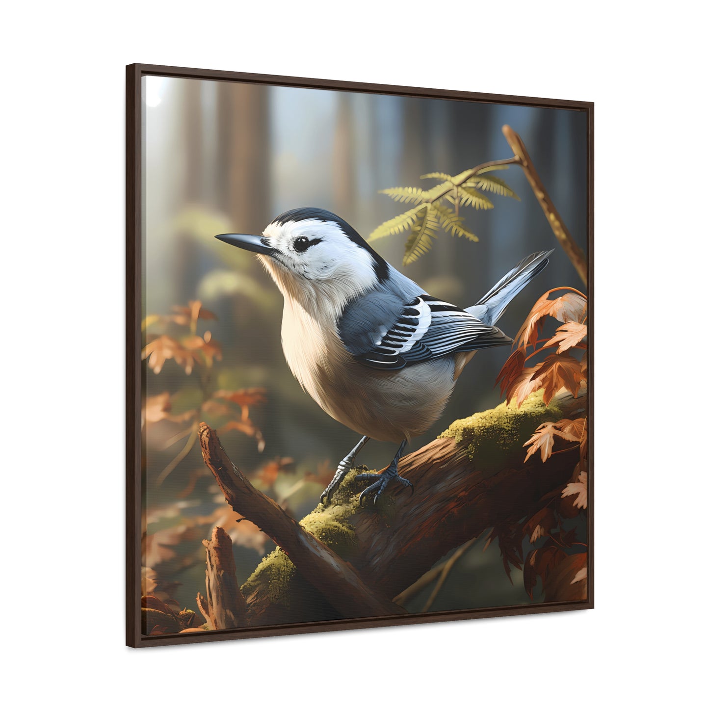 White-breasted Nuthatch