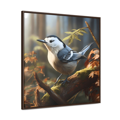 White-breasted Nuthatch