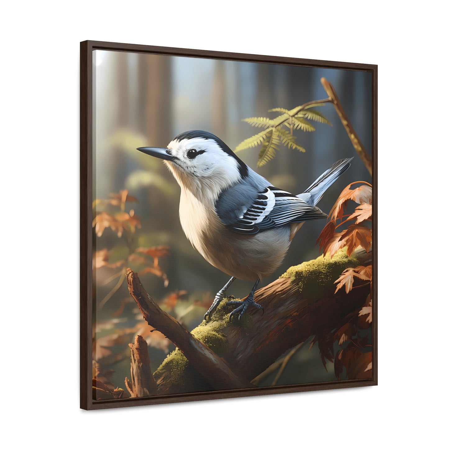 White-breasted Nuthatch