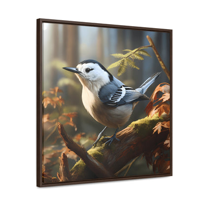 White-breasted Nuthatch