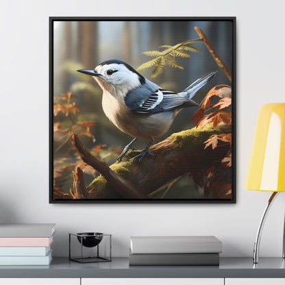 White-breasted Nuthatch