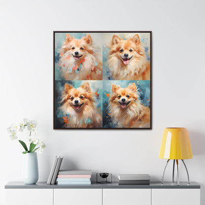 Pomeranian Palette