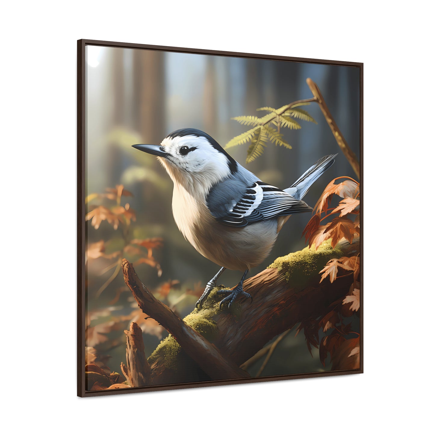 White-breasted Nuthatch