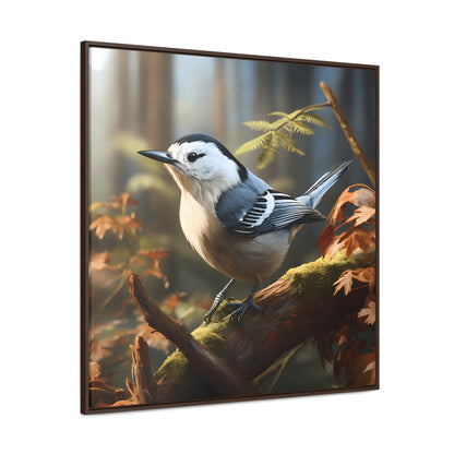 White-breasted Nuthatch
