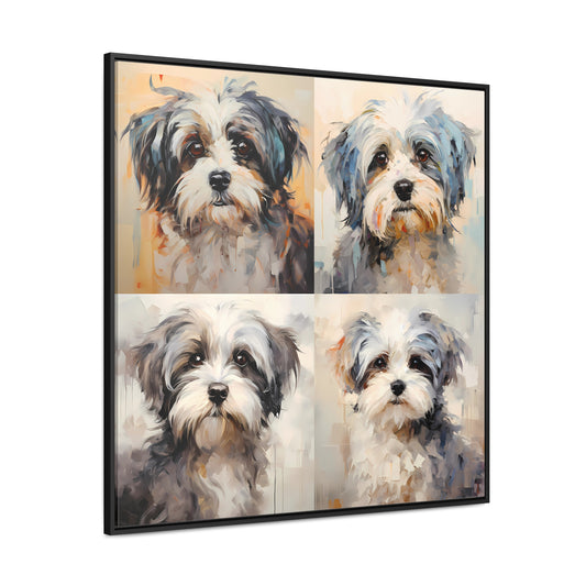 Shih Tzu Splendor