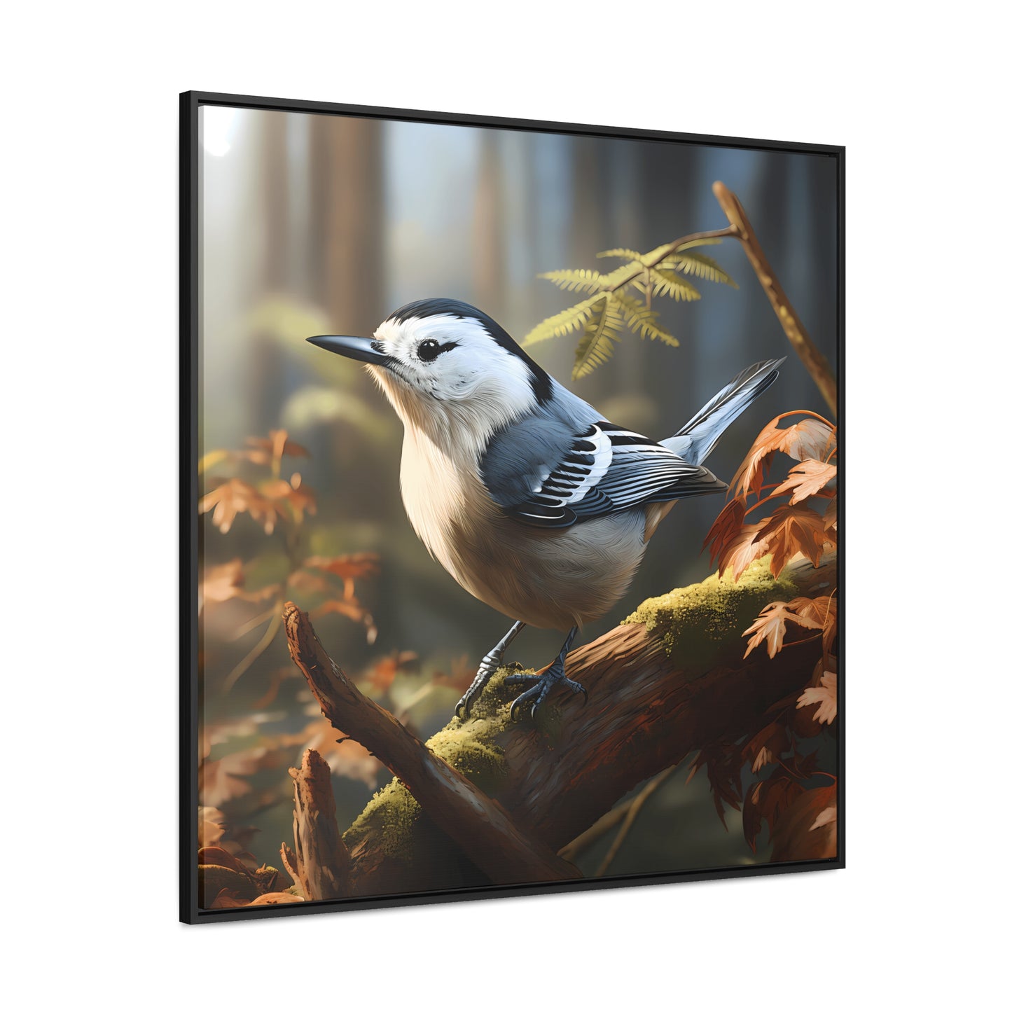 White-breasted Nuthatch