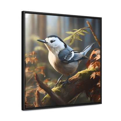 White-breasted Nuthatch